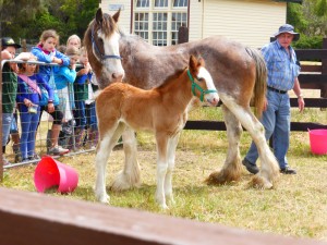 BABY AT COOPER'S